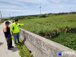 

大安區南埔堤防橋至出海口上下游現危機！二十公尺一片綠油油外來種布袋蓮有害生物多樣性，市議員施志昌三日邀集官員會勘，水利局允諾動用三十萬經費清除，確保農民作物安全。（記者陳榮昌攝）


