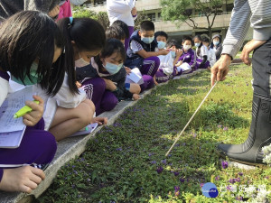 莒光國小以原生植物復育概念改造校園，更設計「歡喜護種行」課程帶領學生建立校園原生植物QR Code地圖，將植物編寫成動人詩篇，打造獨一無二的校園植物詩意地圖