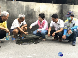 后里區公館里尾社路排水側溝年久失修，惡臭、塌陷、淹水等問題一大堆，立委楊瓊瓔九日辦會勘，設局養工處長彭岑凱允諾九月前完成改善。（記者陳榮昌攝）