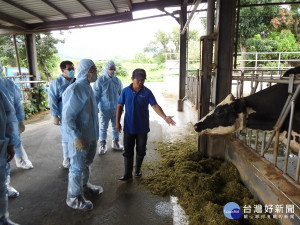 防範牛結節疹疫情　台東農業處日前加強縣內養牛場業者視察（圖／台東縣政府提供）