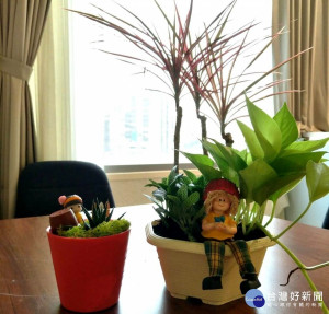 現場免費提供花材、花具用品，孕婦們自己完成的作品，可以帶回家玩賞哦！