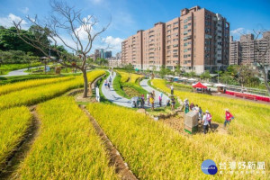 全台首座低環境衝擊工法梯田生態公園正式啟用