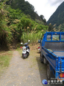 信義鄉八通關古道登山客群體遭虎頭蜂攻擊，警消出動救援。