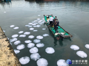 富岡漁港不明油污染　台東啟動海污應變4小時內完成清除