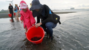 桃園市政府海岸管理工程處於白玉海灘舉辦魚苗放流及淨灘教育活動。

