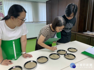 
大甲稻米評鑑比賽，評審人員不敢掉以輕心的細打分數，最後有機農民鄭雲益、青農黃正東獲選有機米組及臺灣好米組冠軍。（記者陳榮昌攝）

