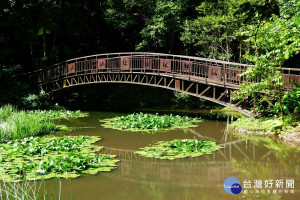 奧萬大一年四季都適合旅遊。（南投林管處提供）