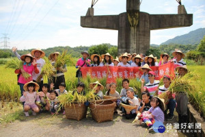 中原大學邀請都會區與在地國小學童走進農田體驗插秧、施肥、收割的農村生活
