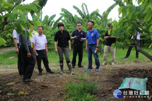 降低農業生產成本　台東縣府編預算加碼補貼農民