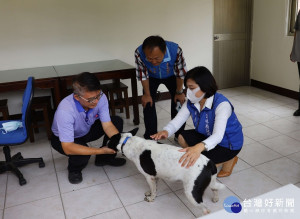 落實生命教育　張麗善關懷古坑國中流浪犬