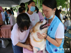 
弘光科技大學醫療健康學院USR團隊及動物保健學程、生物科技系的師生，走入社區幫毛小孩健檢、進行基本美容、按摩，吸引許多飼主帶寵物前來參加。（記者陳榮昌攝）