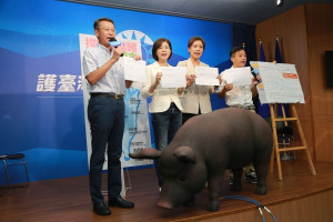 國民黨29日表示，行政院食安會報逾一年未召開，政府完全沒有進行跨部會風險評估、管理措施、稽核機制的討論，讓國人如何相信，蔡政府是經過審慎評估食品安全後才決定開放瘦肉精美豬？（資料照片，圖／國民黨）