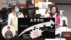 （圖／翻攝自台南市議會直播）