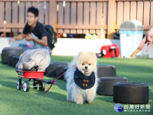 麗寶落羽松祕境近期成為毛孩族的熱門景點，二十一日更將舉辦「Let’s狗party」，專為毛小孩設計的蛋糕、狗狗拖車趣味活動等，只要成功過關還能免費獲得寵物好禮，限量三十組報名，想要在全台最大落羽松祕境替狗狗拍美照、玩遊戲的毛孩爸媽們手腳可要快!

麗寶落羽松祕境開放後，吸引許多人拍網美照與婚紗取景，也受到親子與寵物族群的喜愛，因此園區特別將延長開放至二十二日，麗寶Outlet Mall定期舉辦的Let’s狗party也特別移至麗寶落羽松祕境舉辦，報名費為每人三百五十元，除了可以參加活動，還包含落羽松祕境門票、天空之夢摩天輪搭乘券乙張。

麗寶樂園渡假區表示，Let’s狗party活動將從二十一日下午二點，於落羽松祕境舉辦聖誕拖車競賽，狗狗只要順利拉著小拖車抵達終點，拖車內的物品沒有掉落，即可獲得該零食或玩具做為聖誕禮物，最快的前三名還可獲得麗寶樂園免費門票，只限量三十組毛孩參加，前二十組報名並於當日報到即加贈電影十二夜特映票二張。

