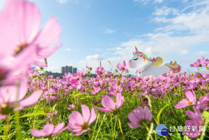 桃園花彩節落幕，為期23天的活動共吸引約135萬6593人潮前往參觀。

