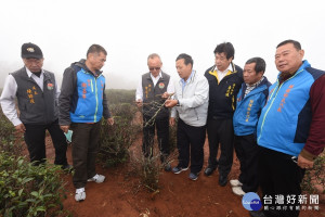 會勘茶園農損　徐耀昌呼籲把握時效申請天災救助