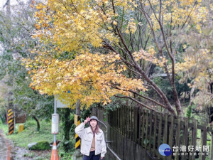 圖／台北市政府提供