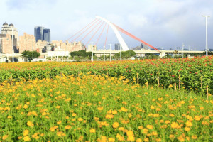 圖／台北市政府提供