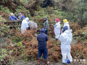 北市動保處調查水牛生活環境　持續促請陽管處監測並安置牛隻