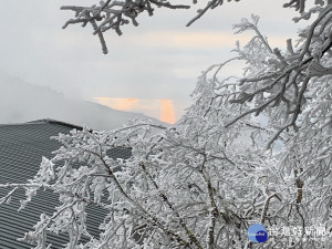 太平山莊的霧淞美景。（圖∕羅東林管處提供）