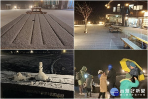 太平山降瑞雪，遊客趁夜賞玩，過足雪癮。（圖∕太平山國家森林遊樂區提供）