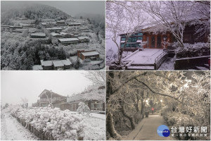 強烈寒流持續籠罩，白了多處山頭，圖為太平山上的銀白雪景，美不勝收。（圖∕太平山國家森林遊樂區）