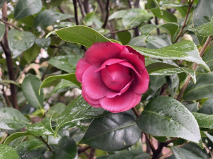 （圖／北市府工務局公園路燈工程管理處）