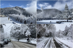 太平山雪景。（圖／太平山國家森林遊樂區）