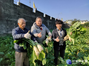 農業局長蔡精強（中）體驗抜蘿蔔。林重鎣攝