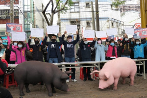 （圖／國民黨官網）