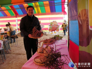 霧峰農會總幹事黃景建展示五種地瓜。林重鎣攝