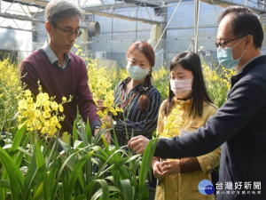 

后里區瓏園國際有限公司董事長洪志文在龐大的文心蘭種植場，向來訪公所三位課長，解說文心蘭種植概要，以及發生疫情後，花農的困境。（記者陳榮昌攝）
