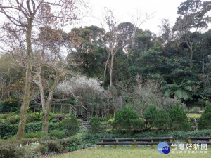 春節出遊喝茶趣　踏青品茗自由行