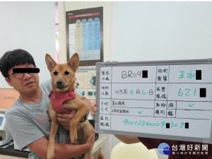 線上申請公犬貓每隻補助1,000元，母犬貓每隻補助2,000元