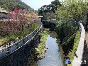 春遊療癒秘境　緋櫻花畔內厝溪