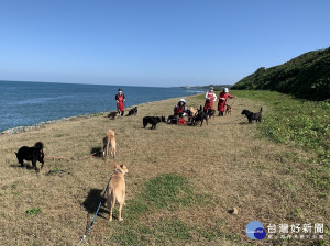 動保處在新的一年為8個動物之家1,295隻毛寶貝，量身訂做將遛狗、散步納入重要活動項目，排入毛寶貝每周必要訓練課程