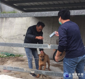 落實遊蕩犬源頭控管　花蓮縣府2月底啟動區域策略性誘捕絕育工作