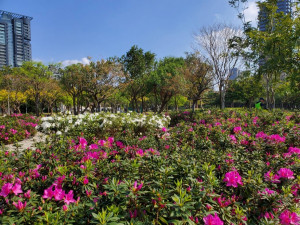 （圖／台北市公園處提供）