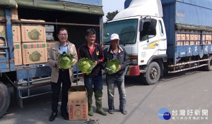 買好菜挺農民　雲林縣府媒合採購434公噸高麗菜