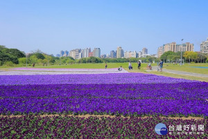 圖／台北市政府提供