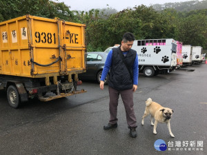 永和區清潔隊「旺旺」，眼睛看似長瘤，經過黃獸醫協助進行第三眼瞼腺體脫出復位手術，左眼已恢復正常