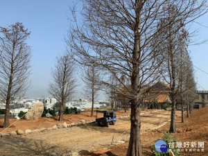 
中市外埔區無極三清總道院耗資數千萬開闢的「石頭公園」，種植高級松樹種品種全已竣工，寬闊的公園樹木林立，區民可做休閒運動之用，還可容納大型公益活動。（記者陳榮昌攝）
                                        