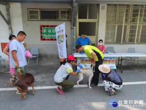 毛孩健康不能等　花蓮縣3、4月狂犬病疫苗注射場次出爐