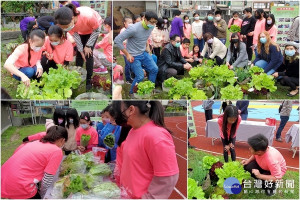 公正國小教育農園，洋溢收成喜悅。（圖∕陳木隆攝）