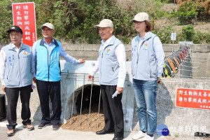 苗縣新建老庄溪野生動物跨河友善通道　盼降低路殺風險