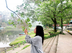 新北市河濱公園花樹紛紛爭奇鬥艷換上春裝，目前正值苦楝花期，河濱處處可見其美麗的蹤跡