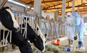 杜絕結核病，新北市政府動保處已完成轄內草食動物結核病篩檢工作，確保出產牛奶及羊奶不受結核病感染，保障消費者安全健康