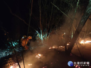 魚池國中後方森林火災，林管處動員徹夜滅火。