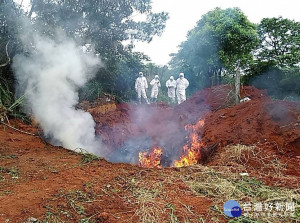 15日對8頭罹患及疑患病牛進行評價、撲殺、焚化及掩埋處理