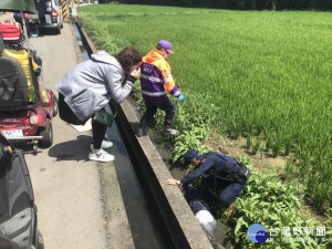 老翁騎車不慎摔落路旁水田邊，龍潭暖警即刻救援送醫